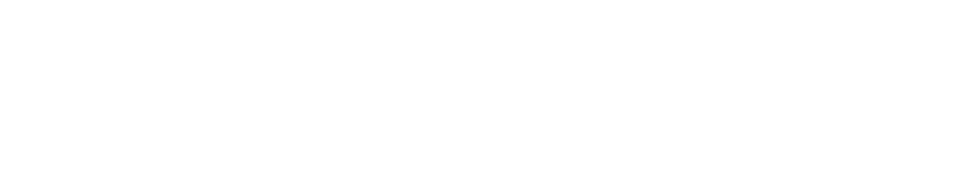 RightMove Logo